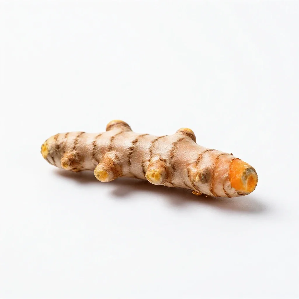 Turmeric root isolated on a white background
