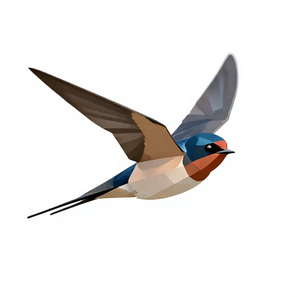 Barn swallow in flight isolated on a white background