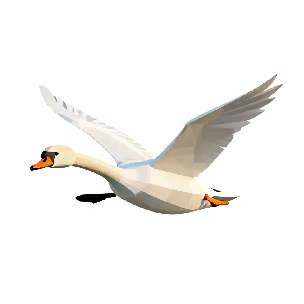 Swan gliding isolated on a white background