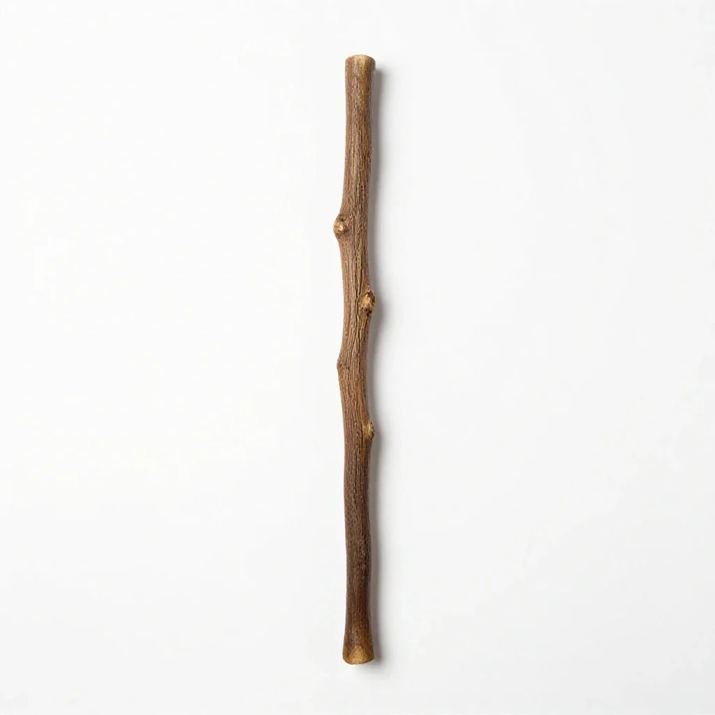 Gnarled wand isolated on a white background