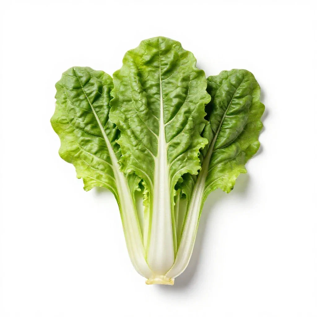 Bunch of rainbow chard isolated on a white background