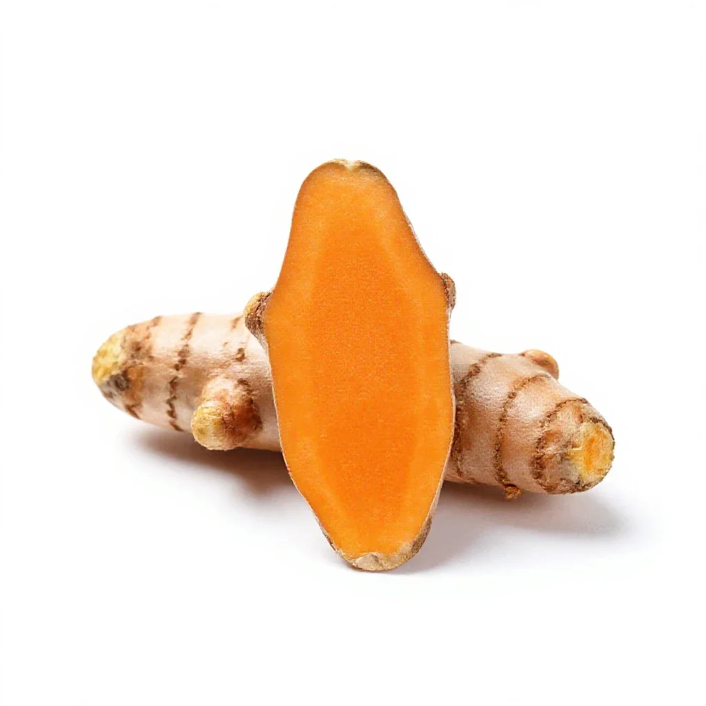 Turmeric root isolated on a white background