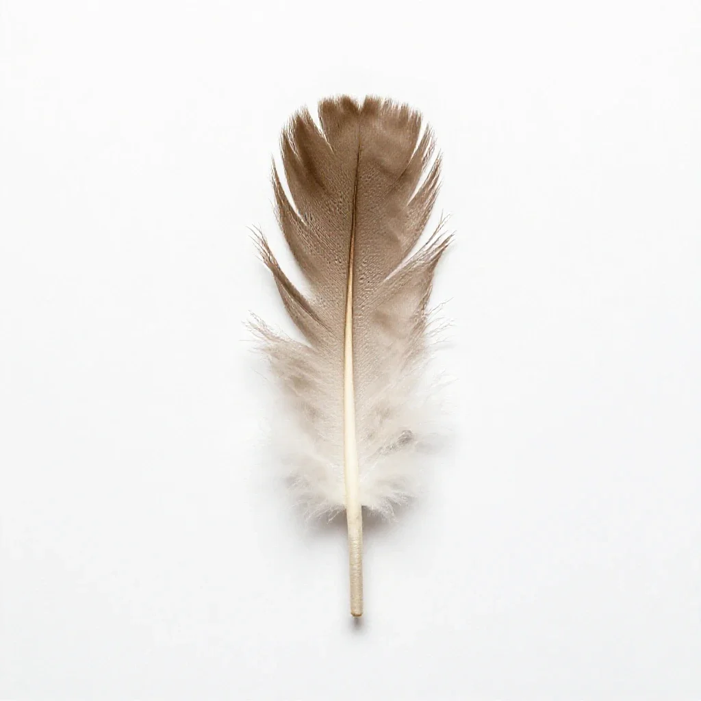 Feather wand toy isolated on a white background