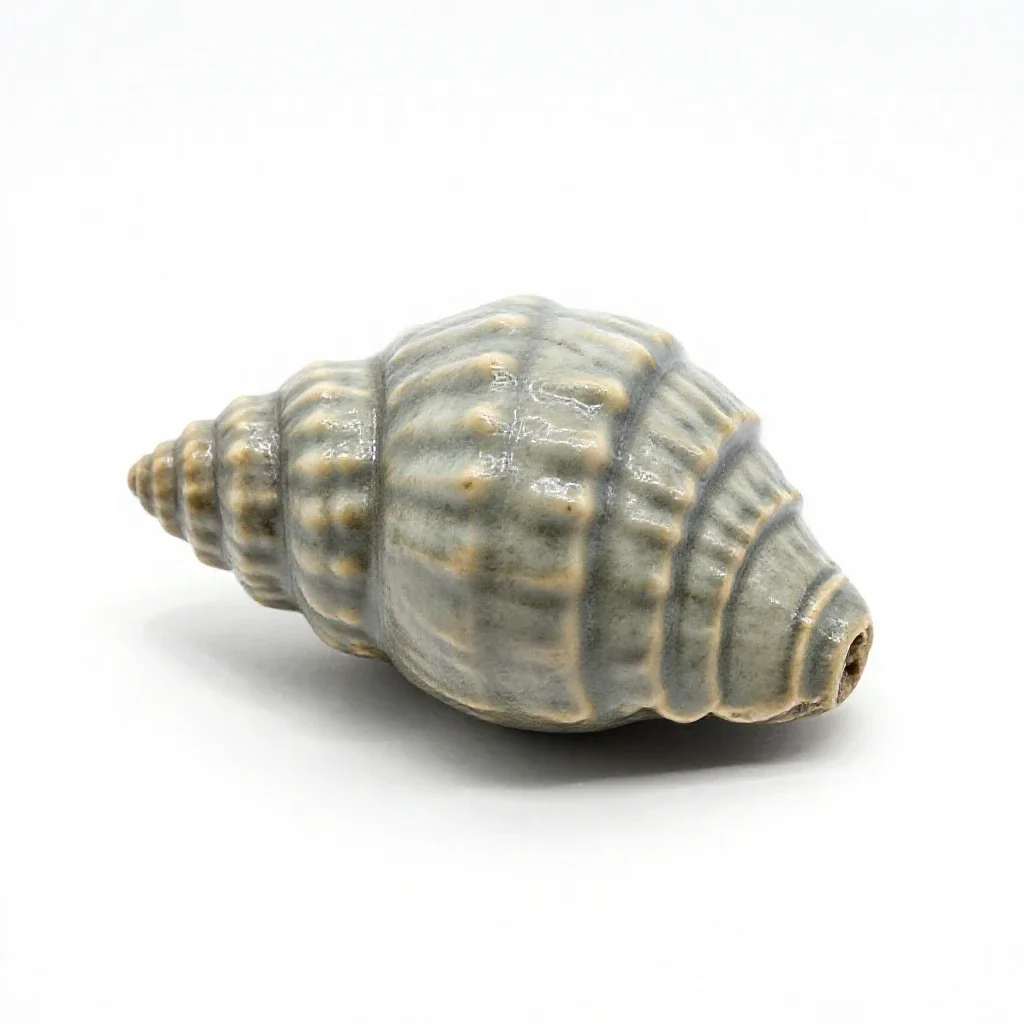 Fossil trilobite isolated on a white background