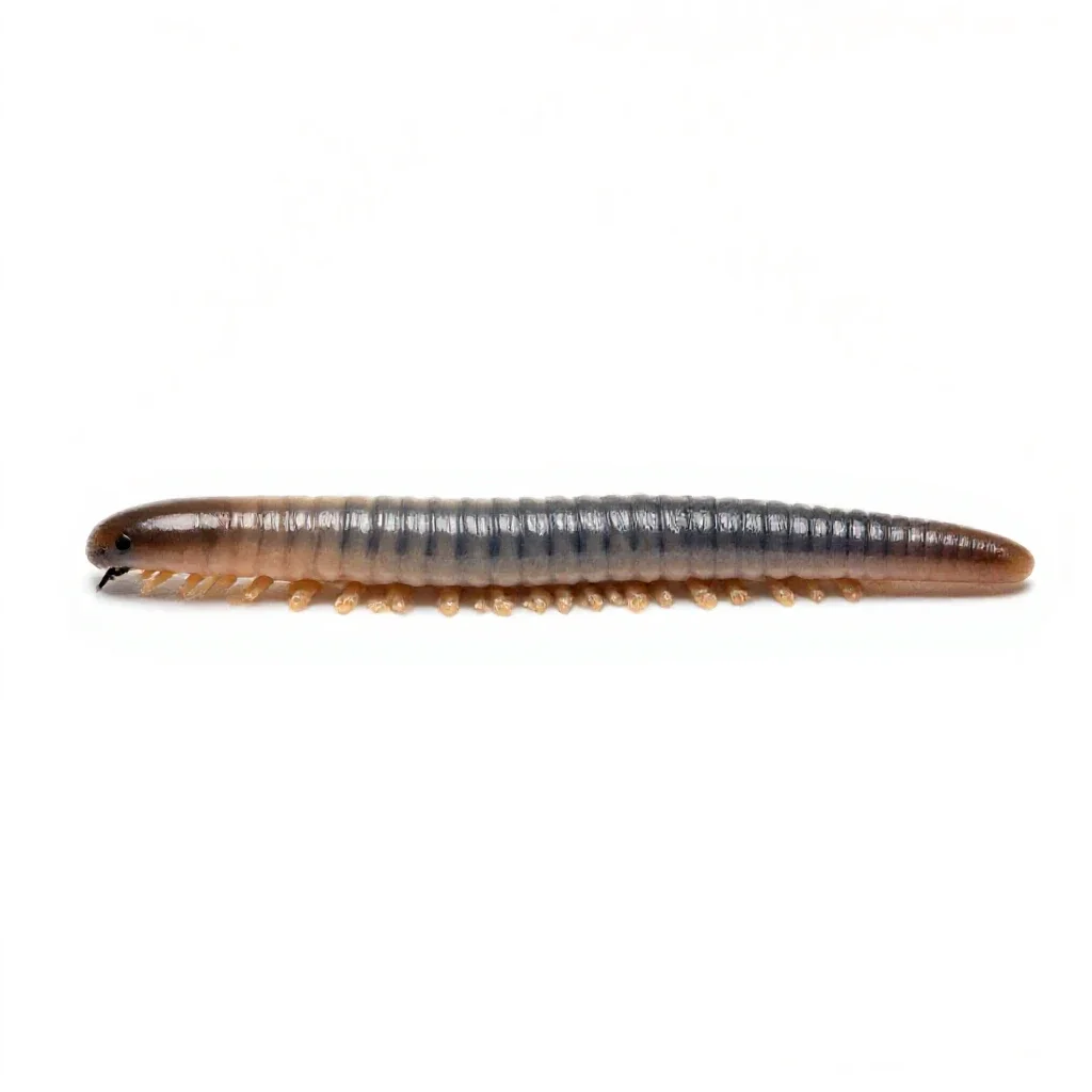 Earthworm in soil isolated on a white background