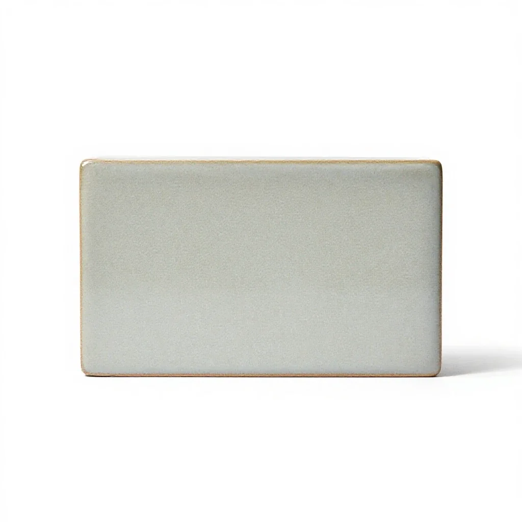 Control system isolated on a white background