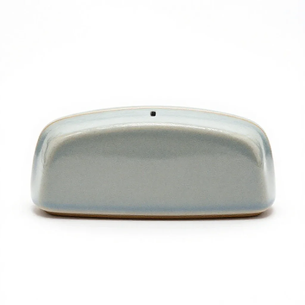 Cruise control isolated on a white background