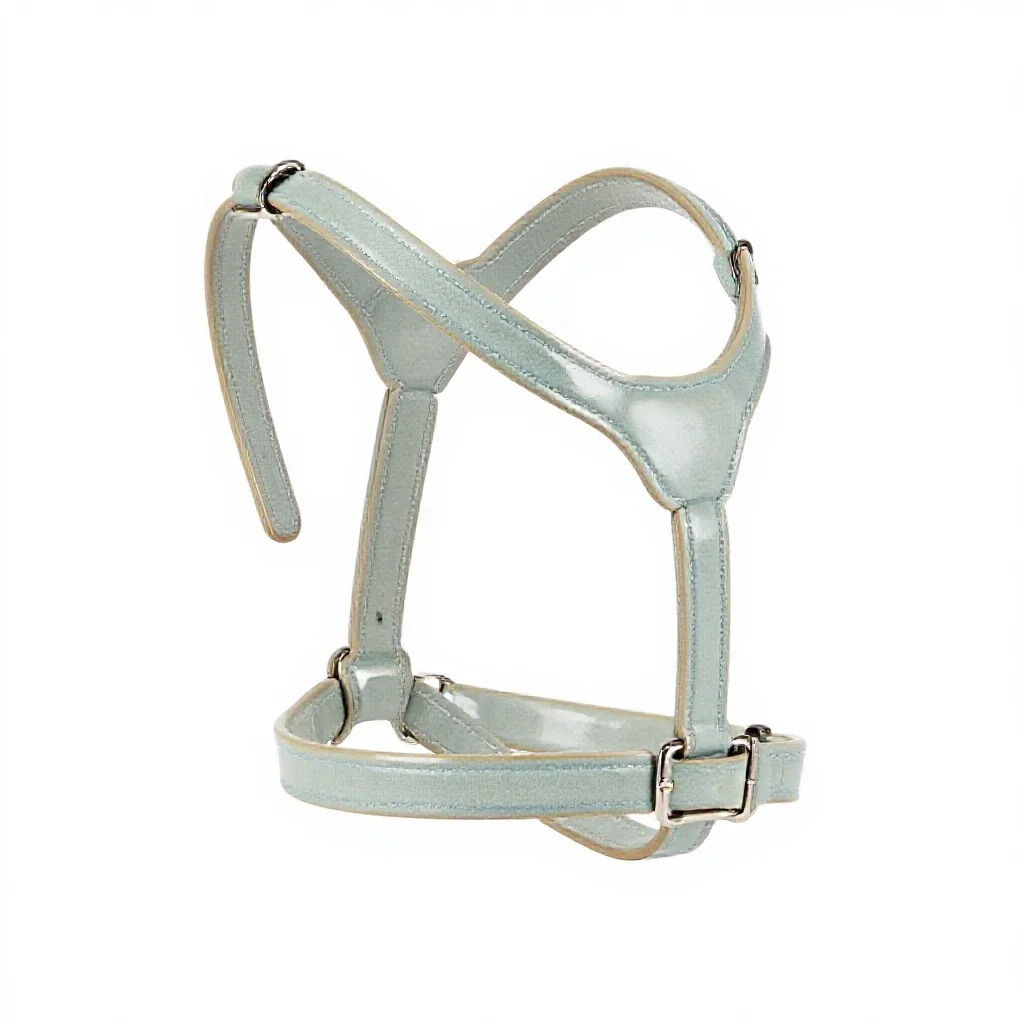 Harness isolated on a white background