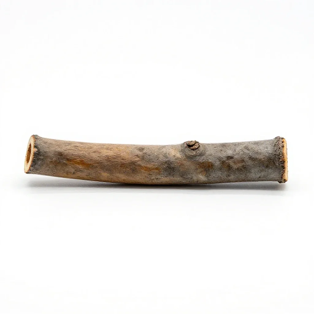 Canella isolated on a white background