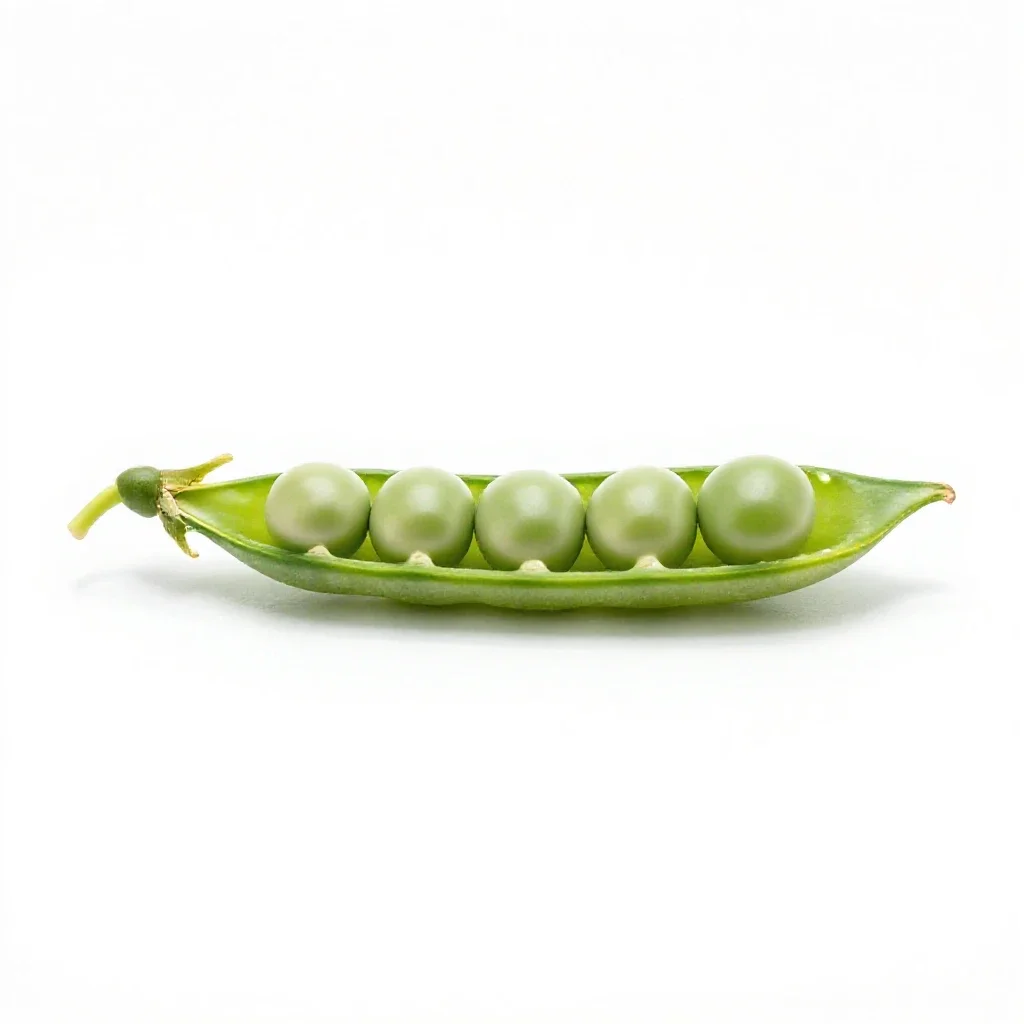 Pea pod isolated on a white background