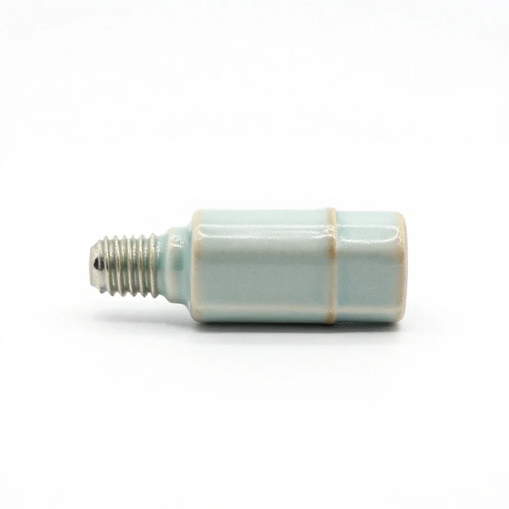 Plug fuse isolated on a white background