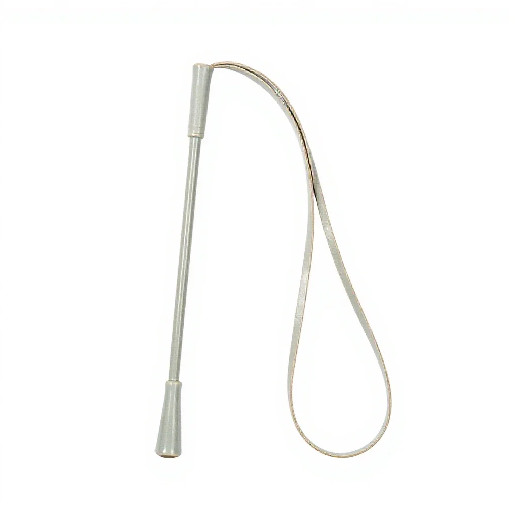 Quirt isolated on a white background