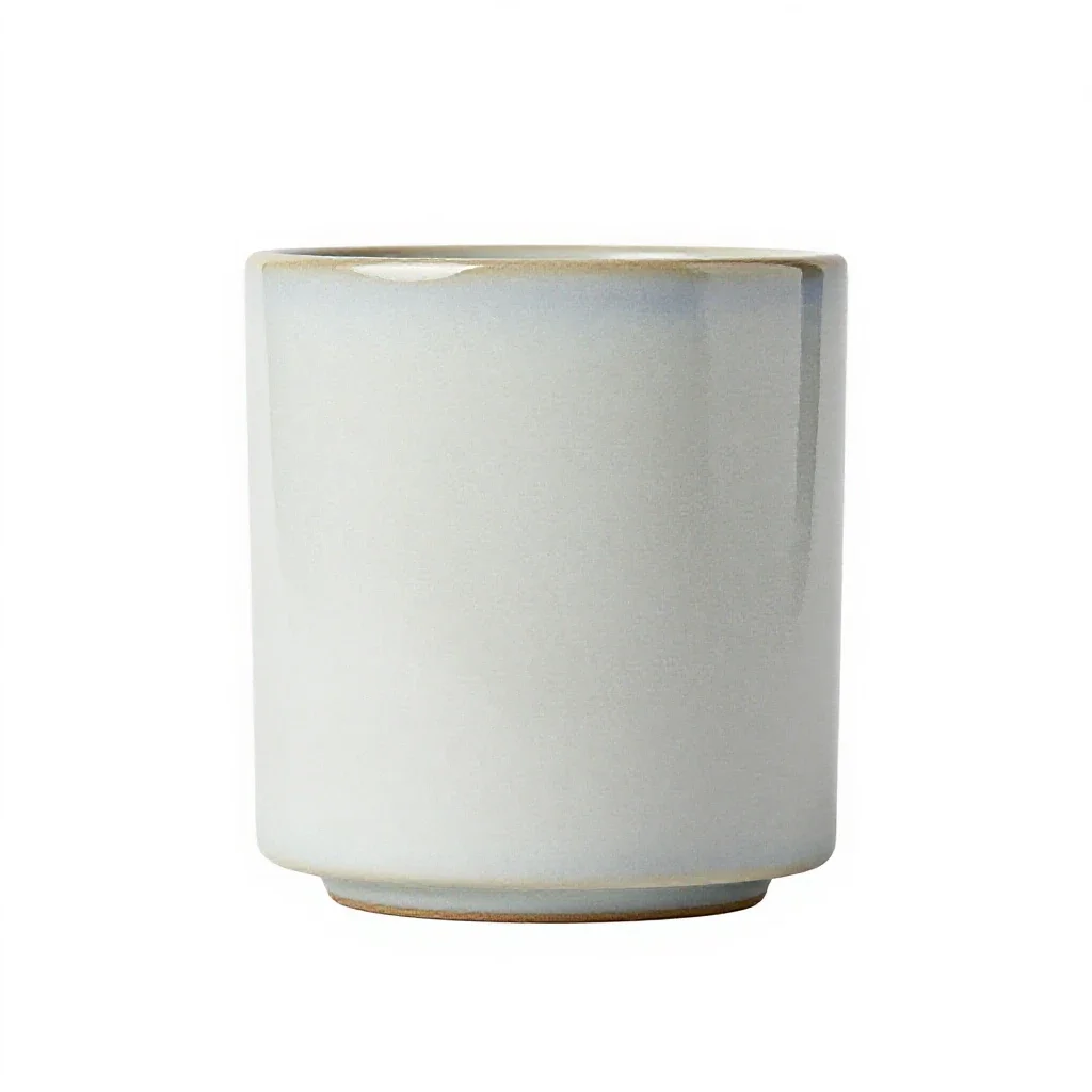 Thermostat isolated on a white background