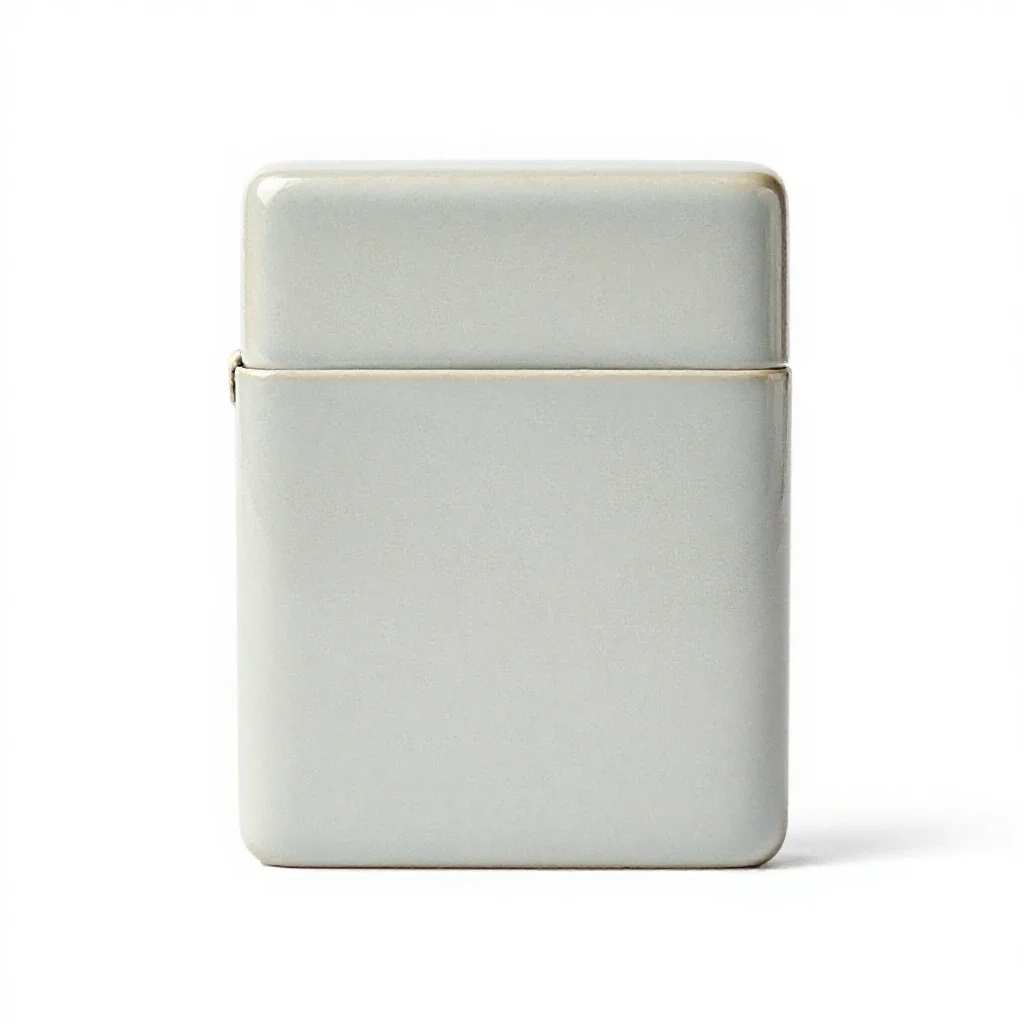 Cigarette case isolated on a white background