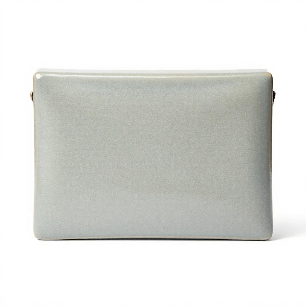 Diplomatic pouch isolated on a white background