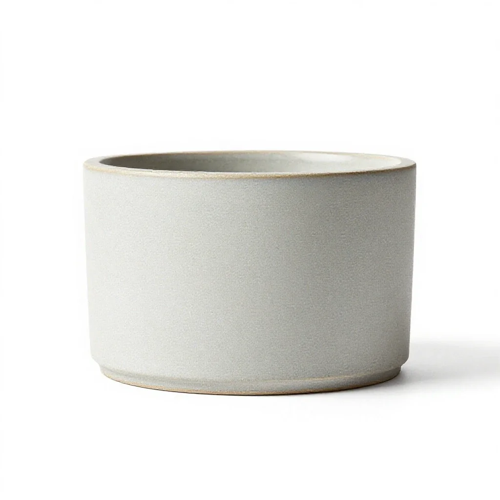 Form isolated on a white background