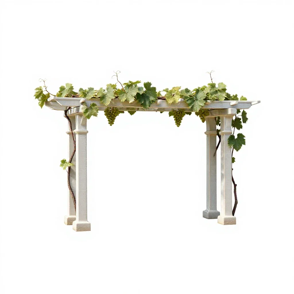Grape arbor isolated on a white background