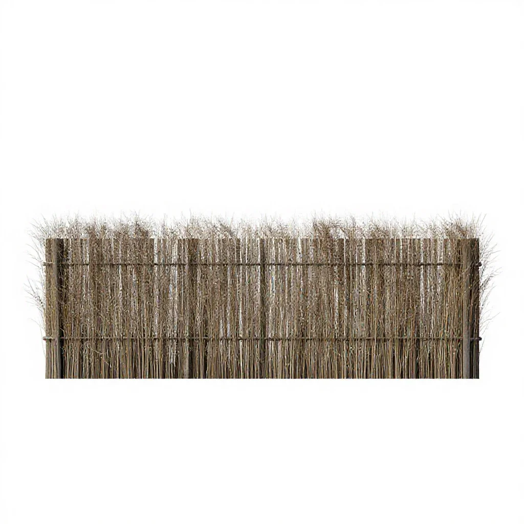 Windbreak isolated on a white background