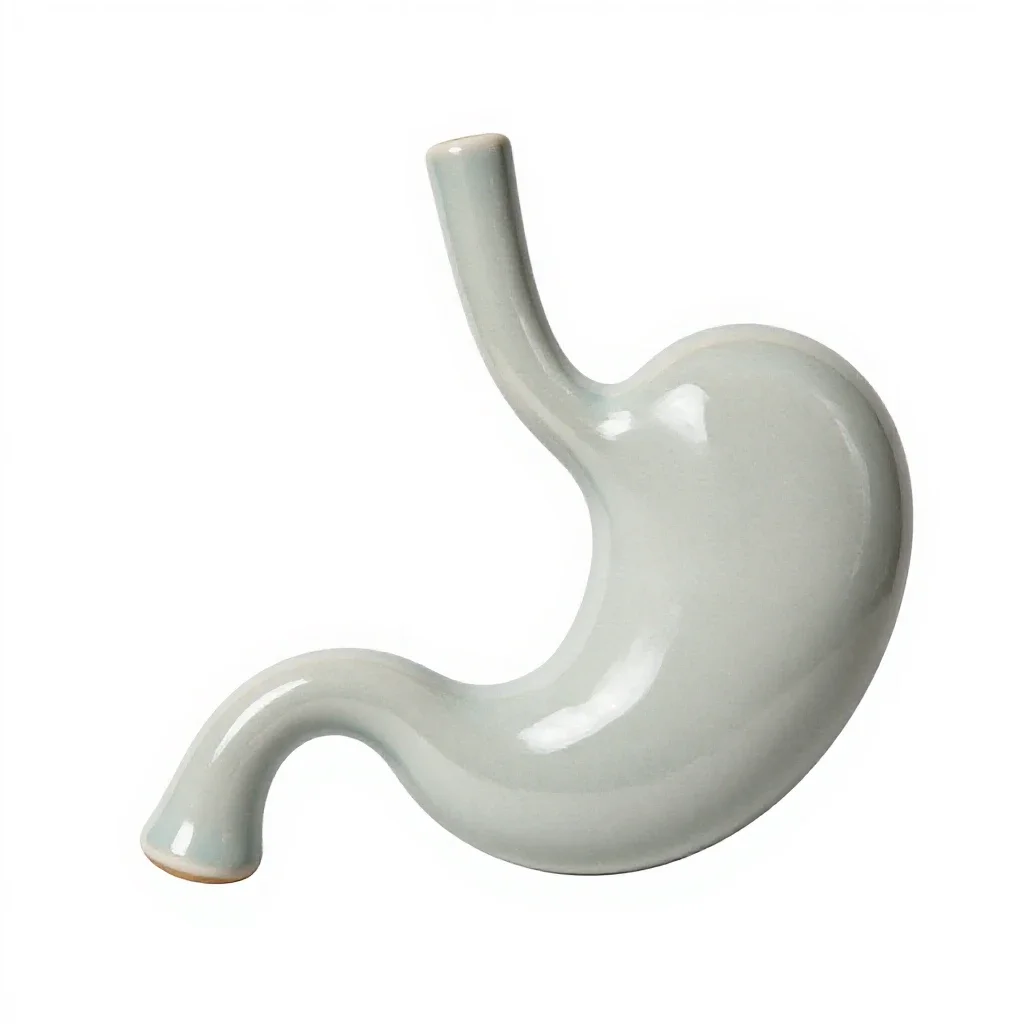 Gastroscope isolated on a white background