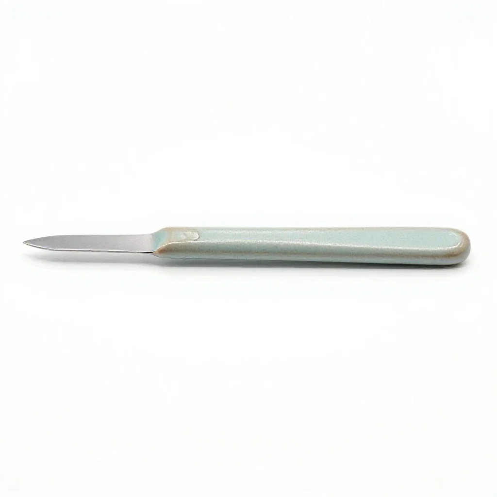 Scalpel isolated on a white background