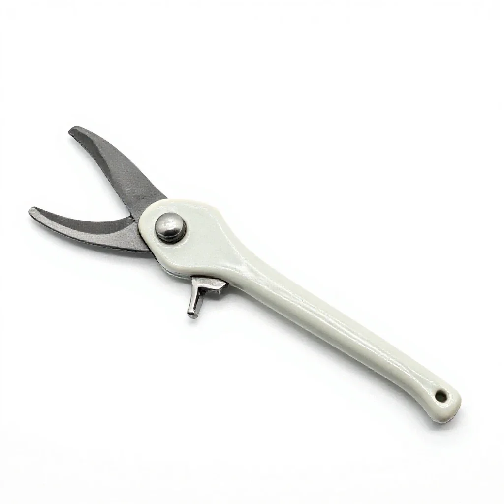 Pruner isolated on a white background