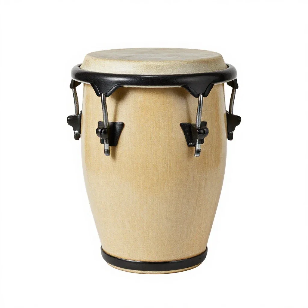 Bongo isolated on a white background