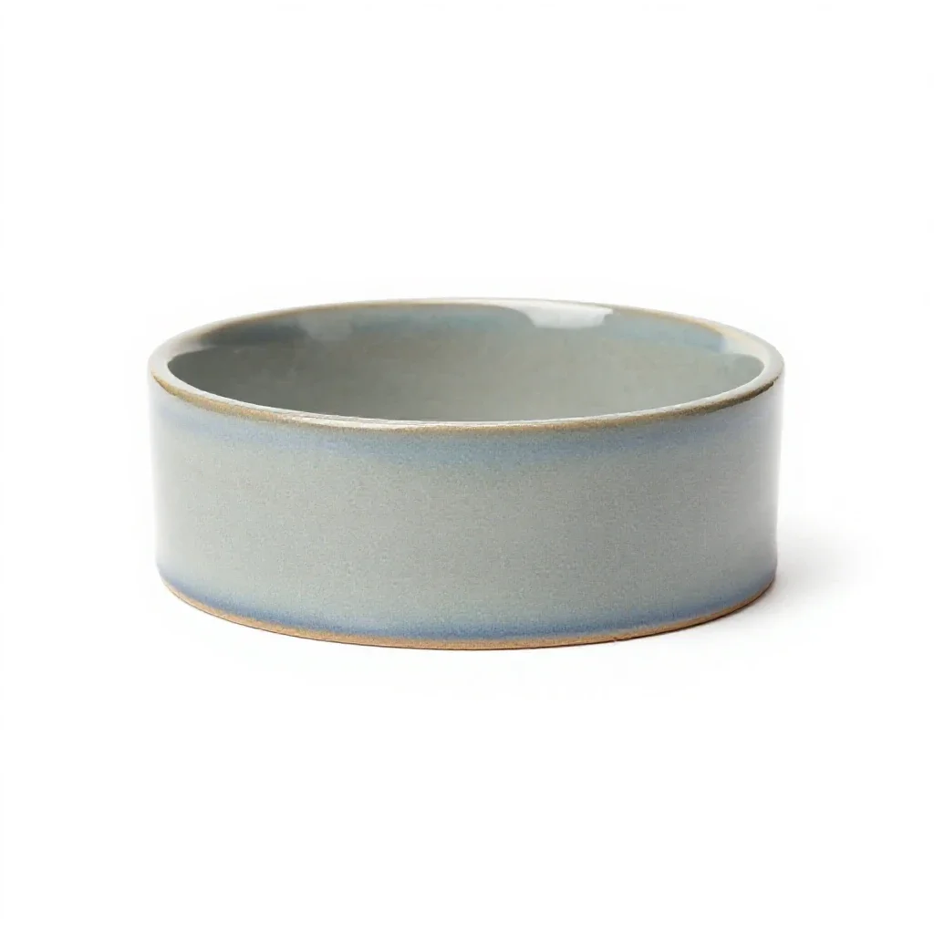 Choker isolated on a white background