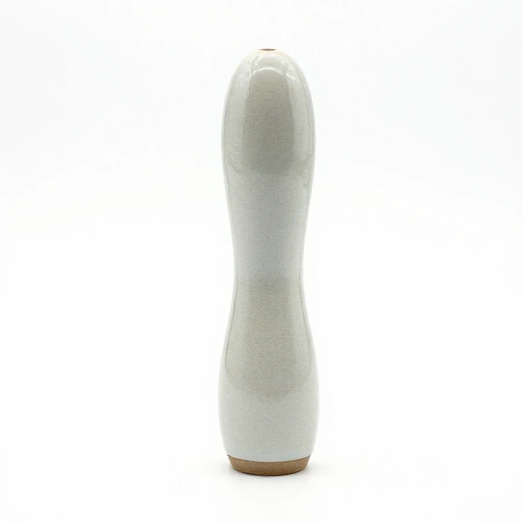 Vibrator isolated on a white background