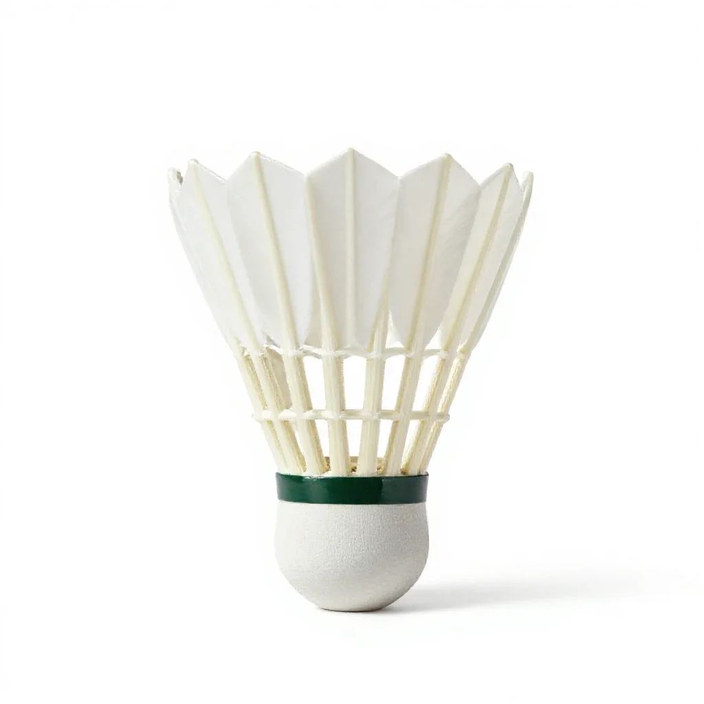 Badminton equipment isolated on a white background