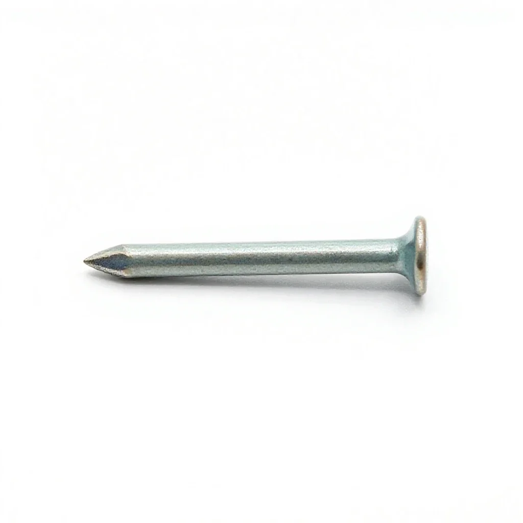 Sixpenny nail isolated on a white background