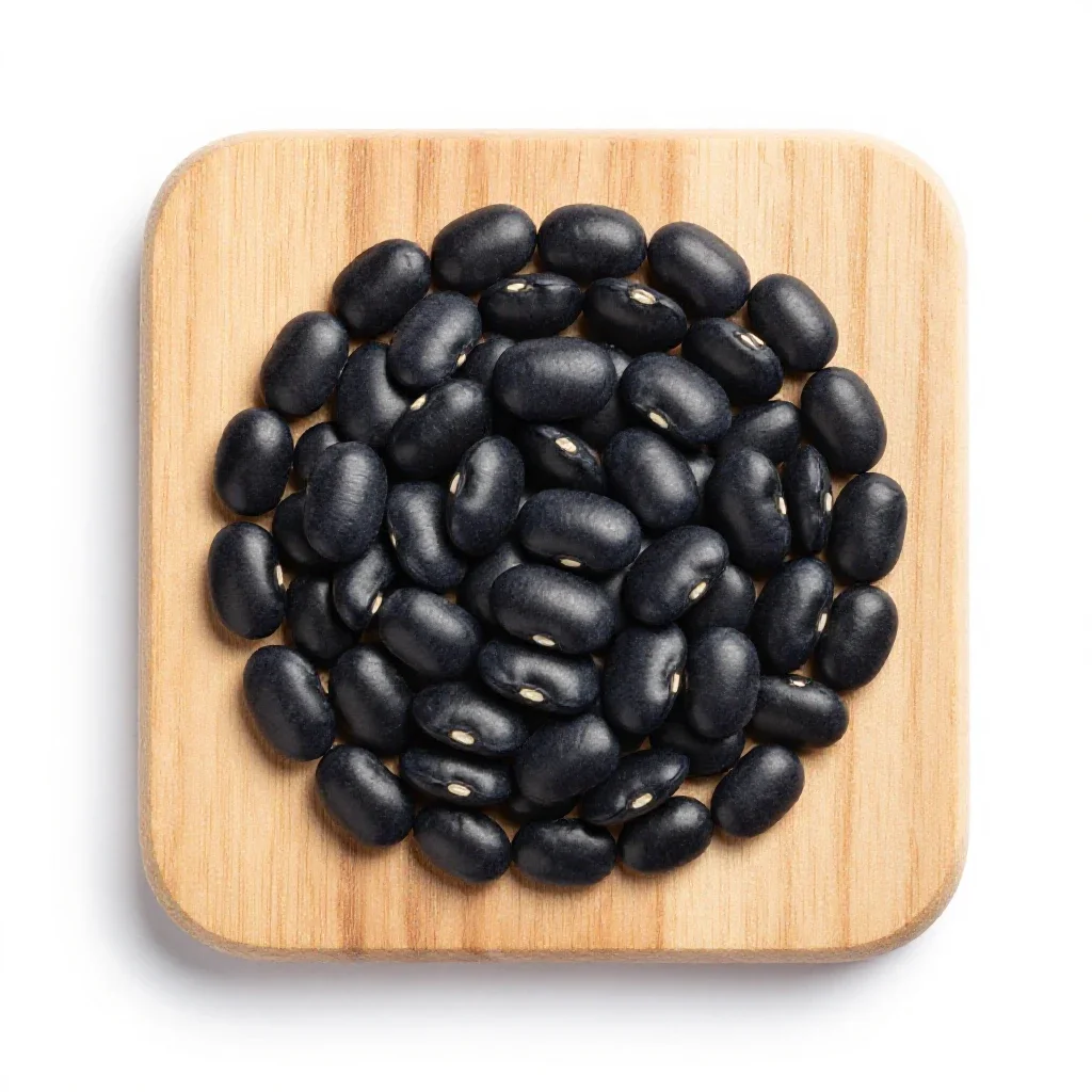 Black bean isolated on a white background