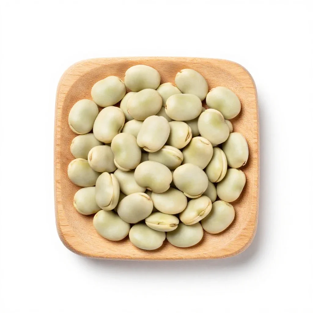 Broad bean isolated on a white background