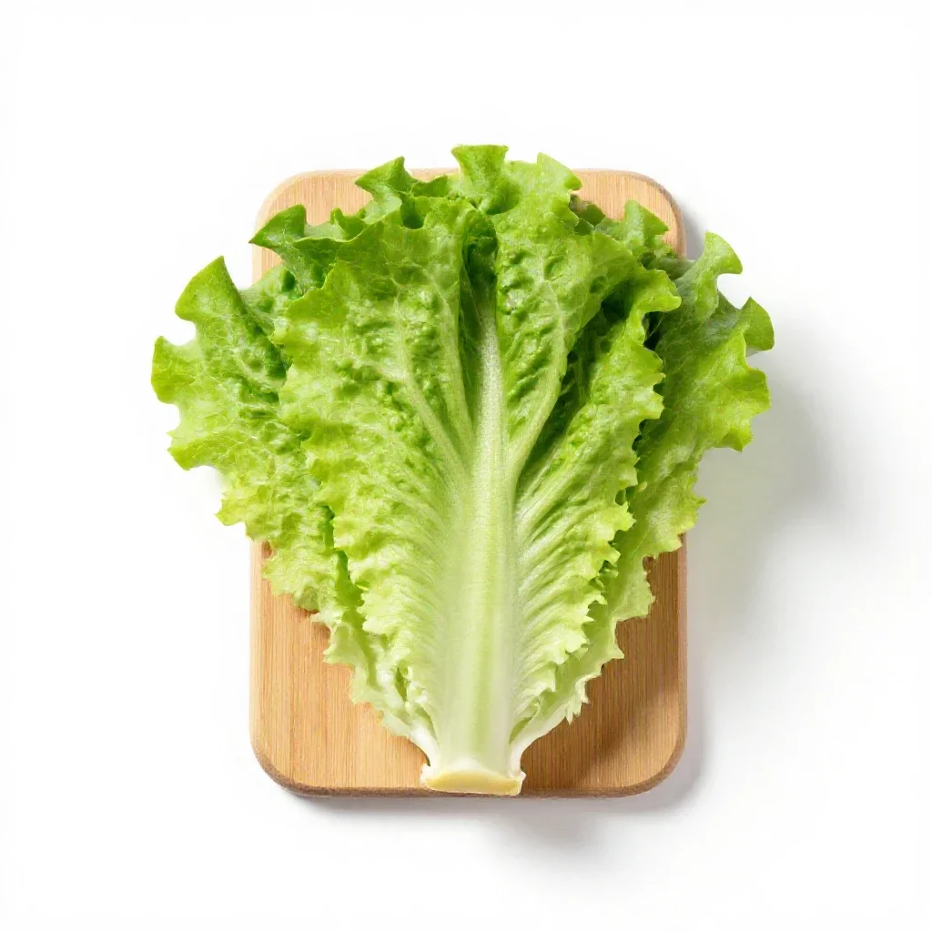 Butterhead lettuce isolated on a white background