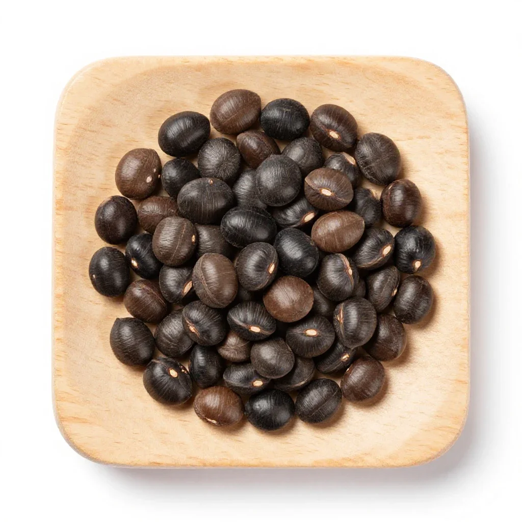 Castor bean isolated on a white background