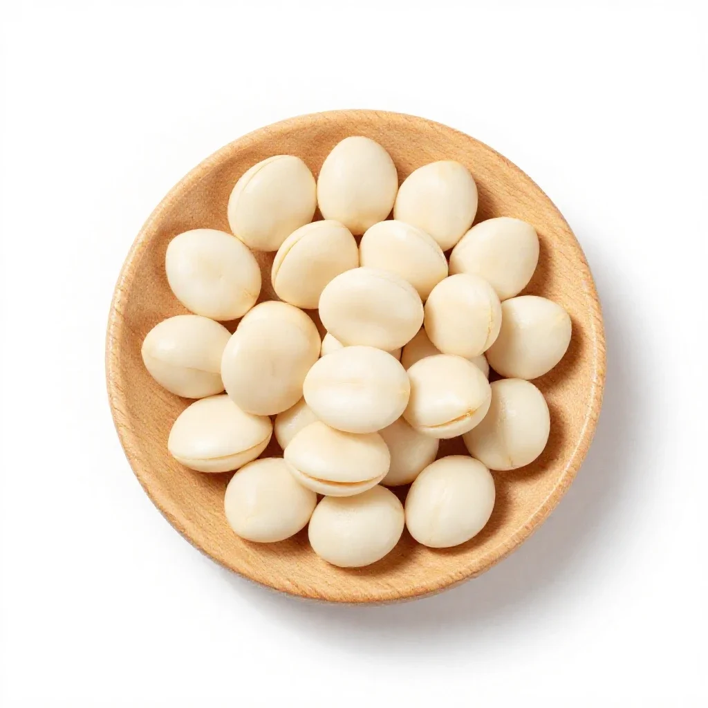 Cohune nut isolated on a white background