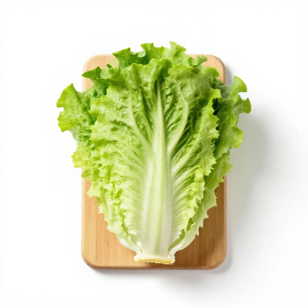 Crisphead lettuce isolated on a white background