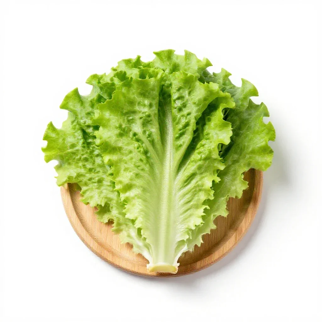 Leaf lettuce isolated on a white background