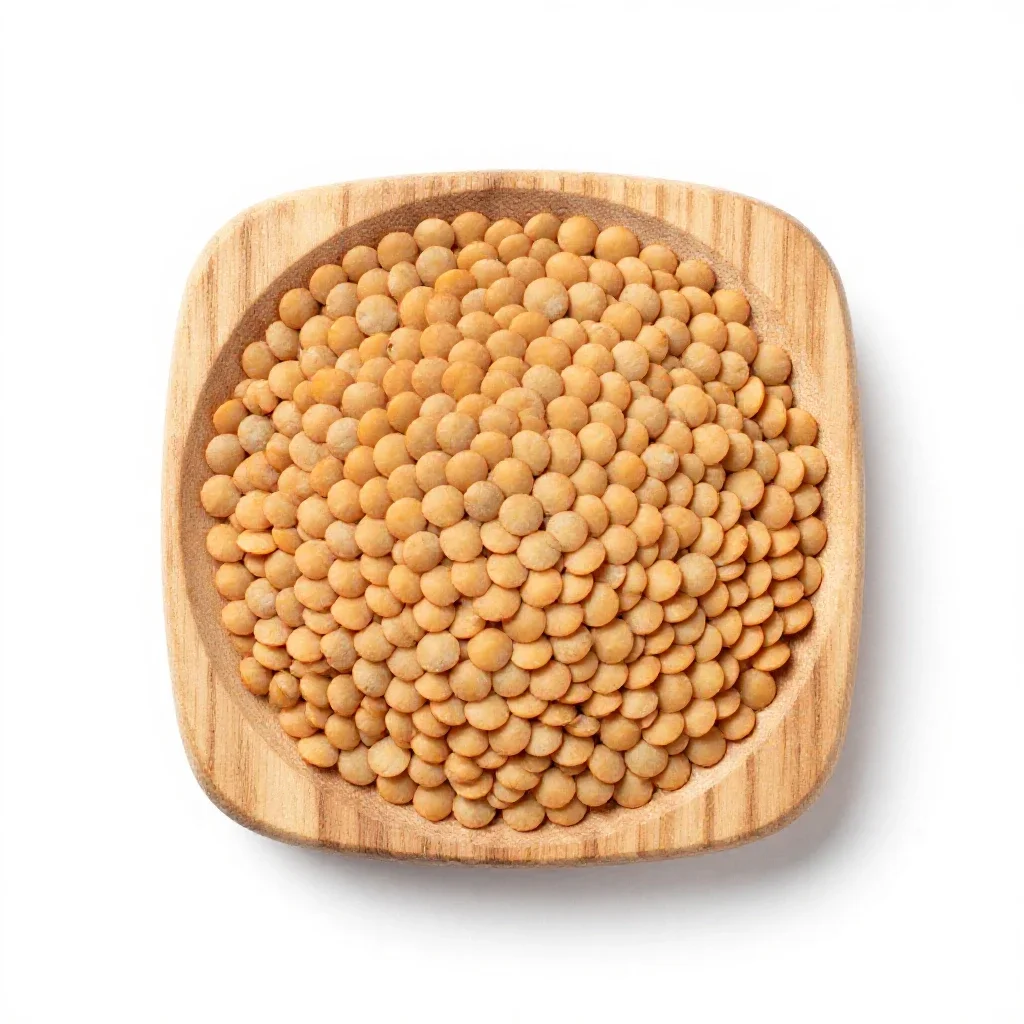 Lentil isolated on a white background