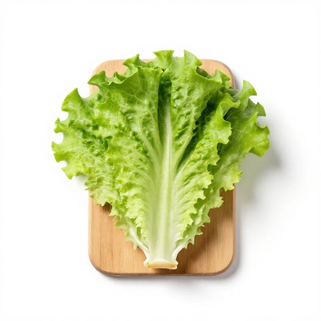 Lettuce isolated on a white background