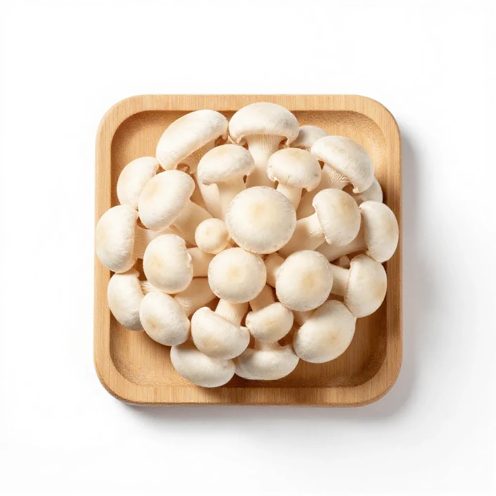 Mushroom isolated on a white background