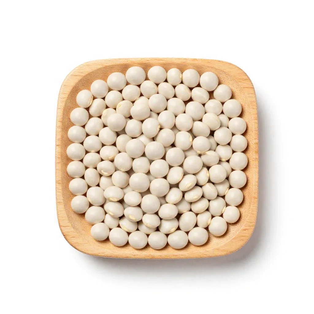 Navy bean isolated on a white background
