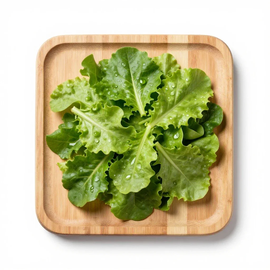 Salad green isolated on a white background