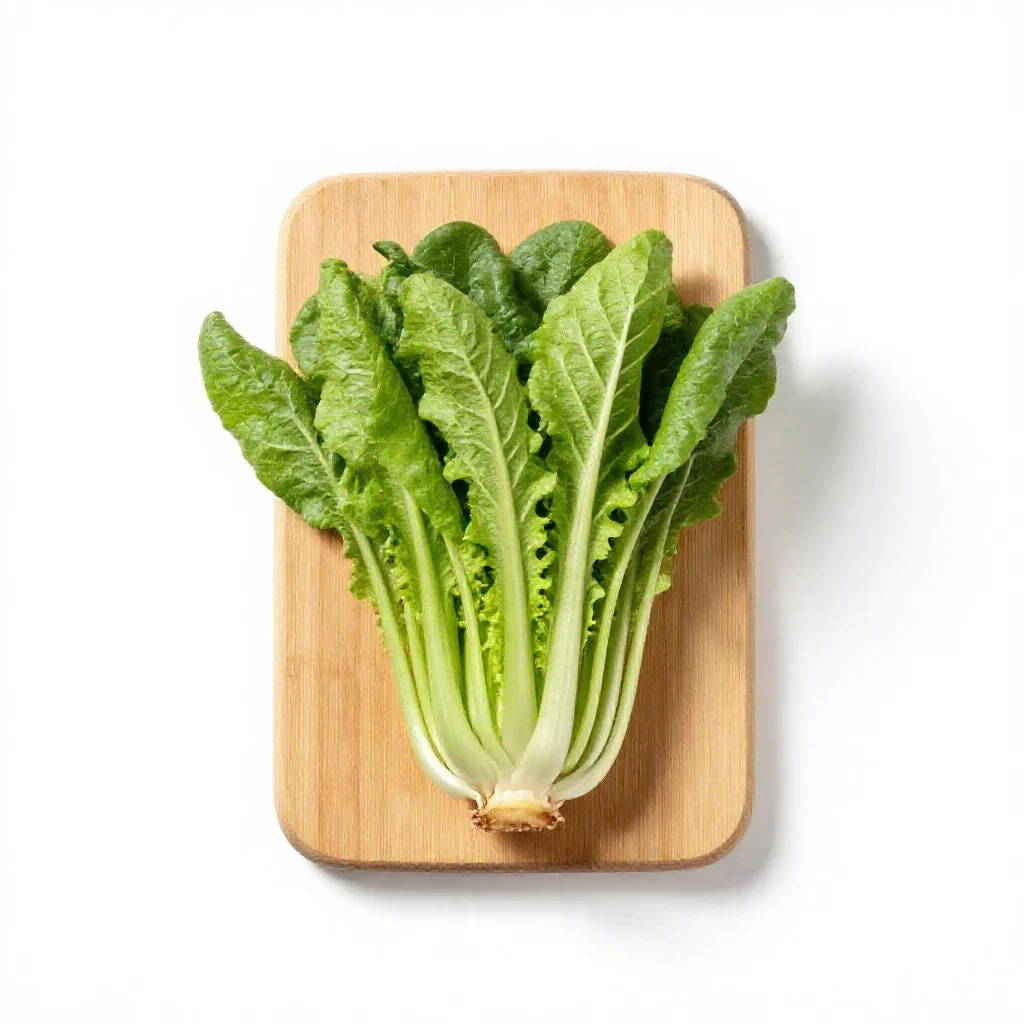 Winter cress isolated on a white background