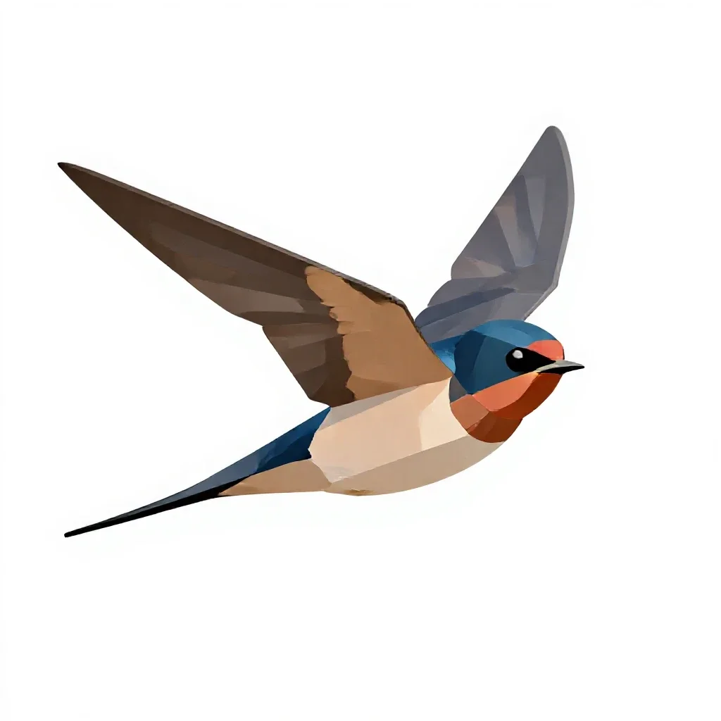 Barn swallow in flight isolated on a white background