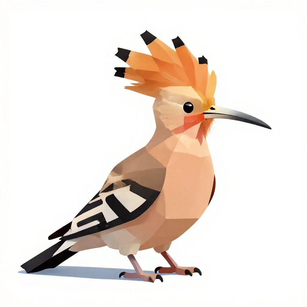 Hoopoe with its crest raised isolated on a white background
