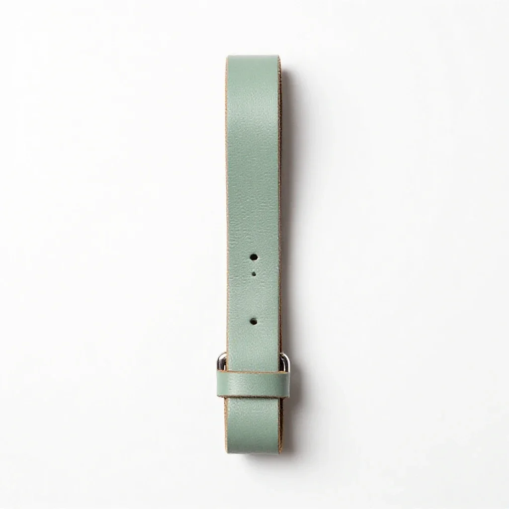 Leather dog lead isolated on a white background