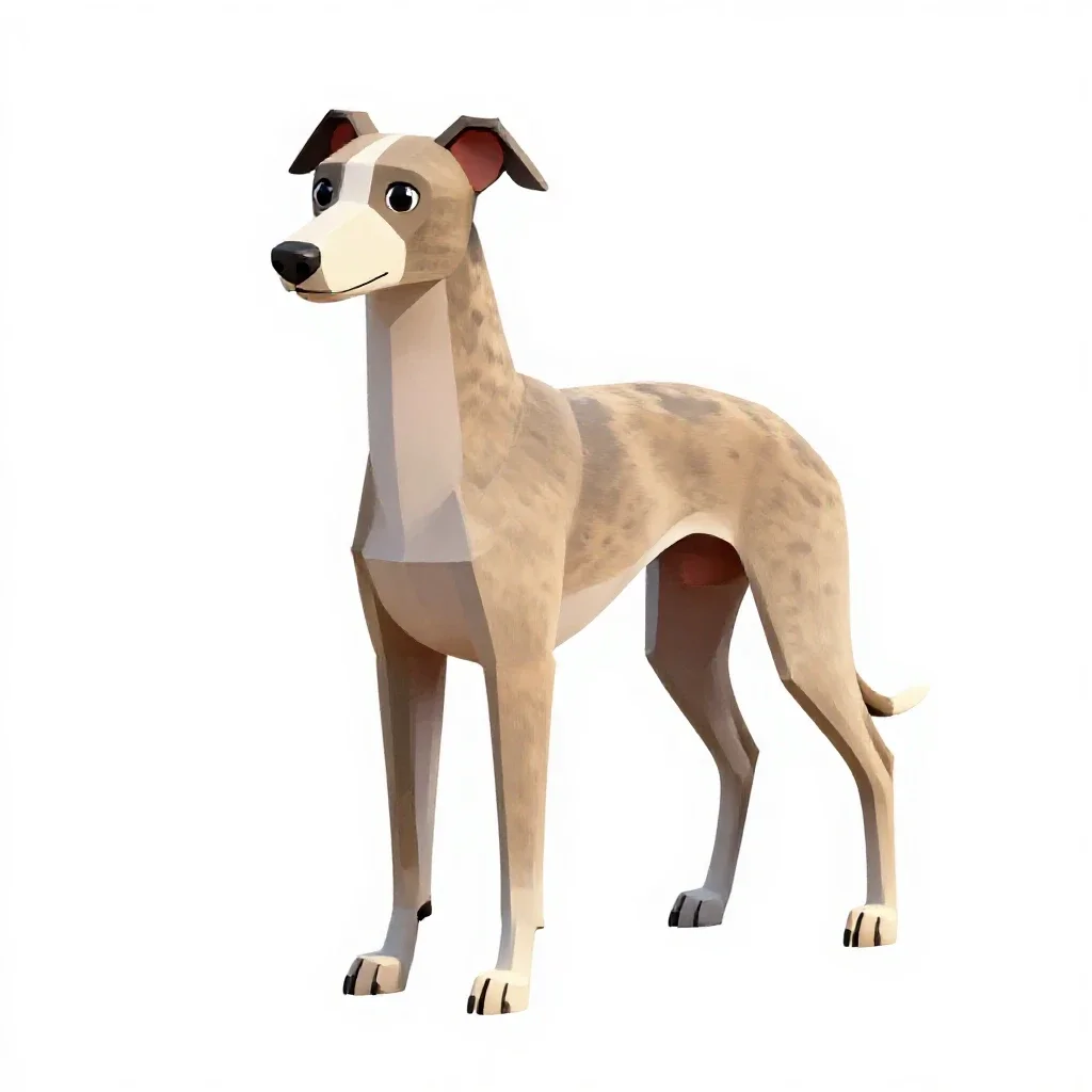 Whippet isolated on a white background