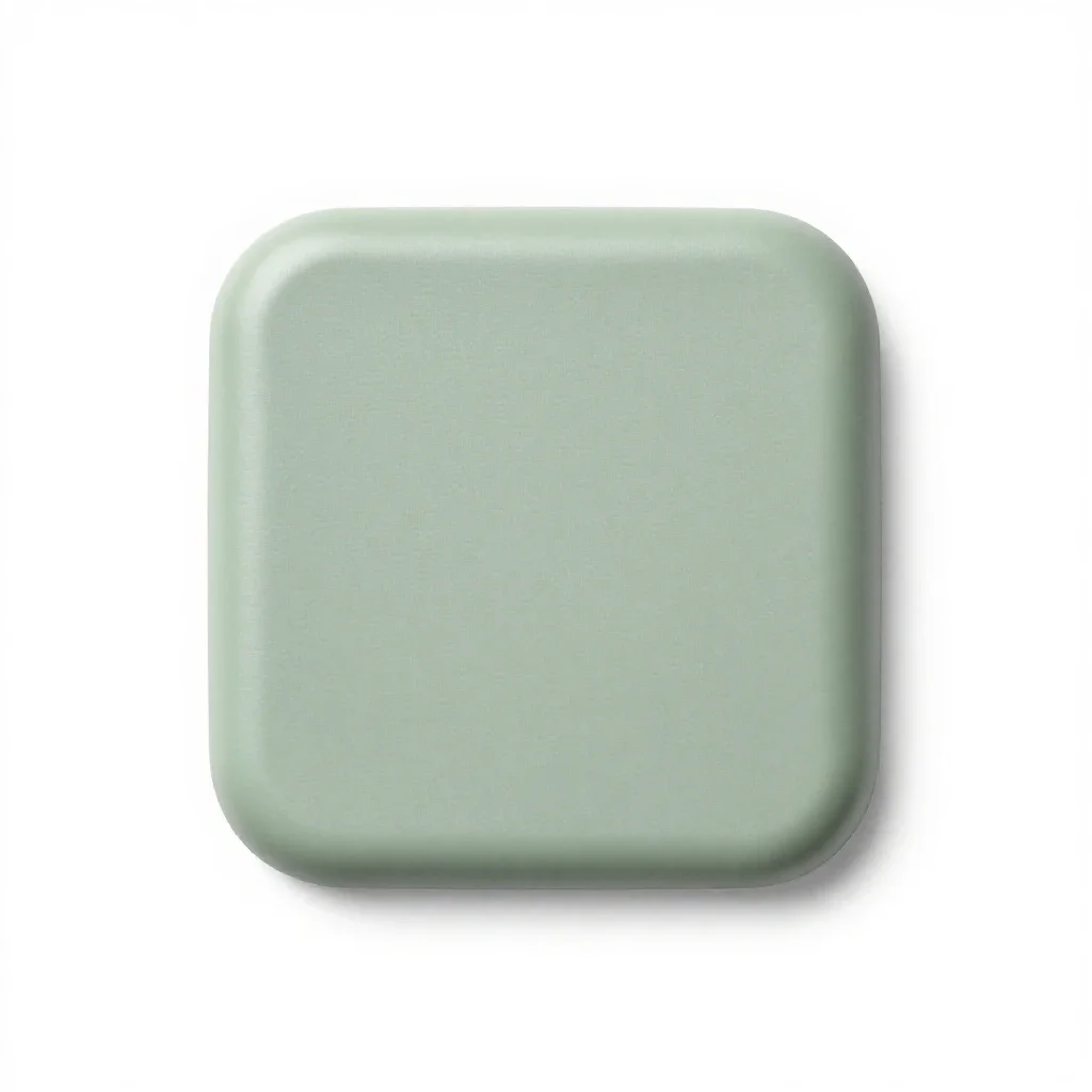 Back isolated on a white background