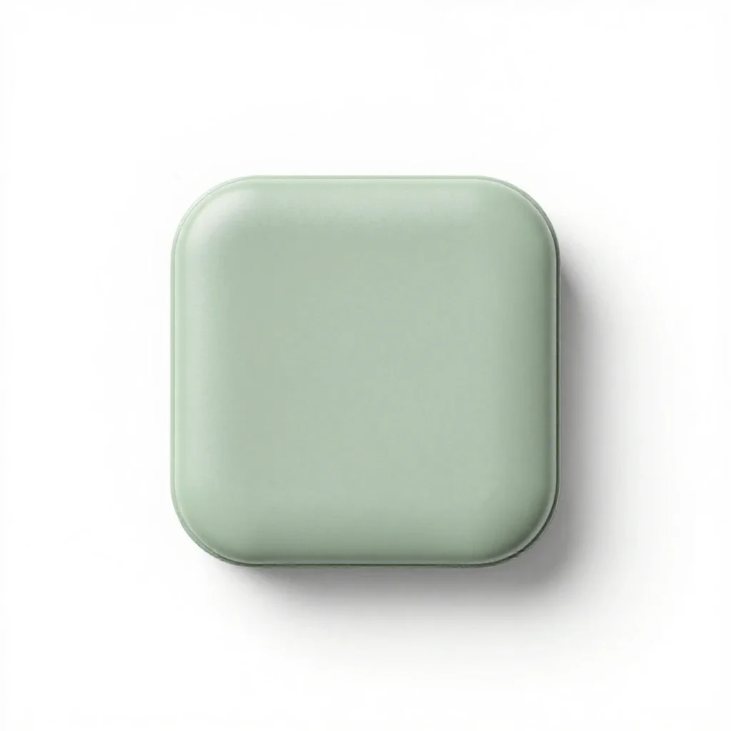 Delayed action isolated on a white background