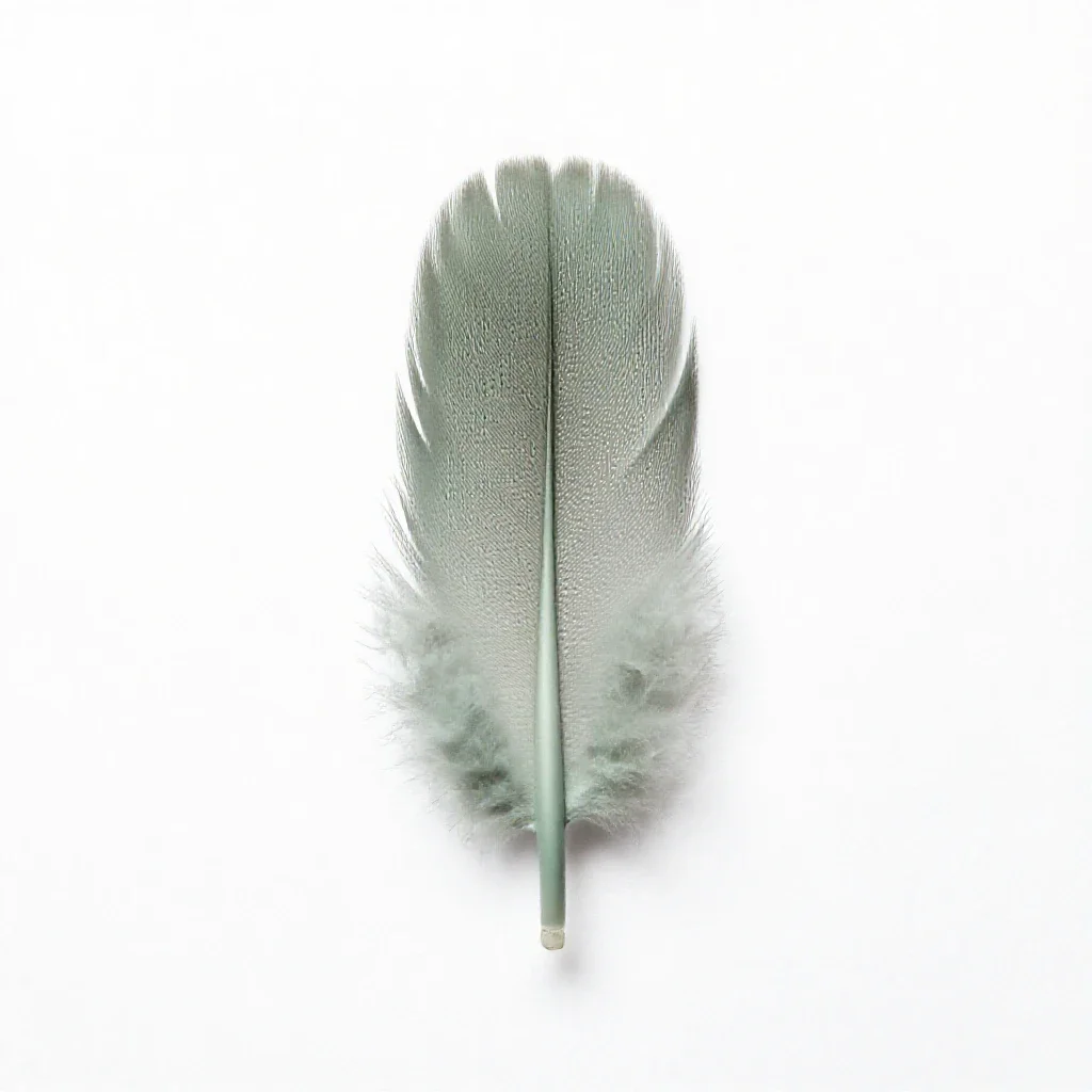 Down isolated on a white background
